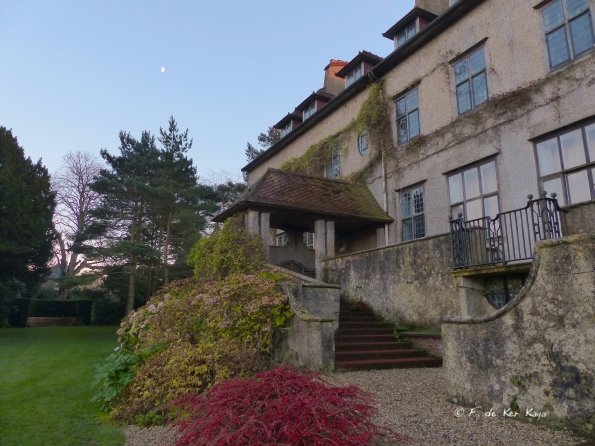 Fin de journée au Bois